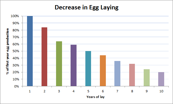 Chicken Egg Laying Chart