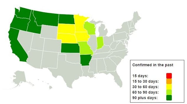 Bird Flu Affect Outbreak