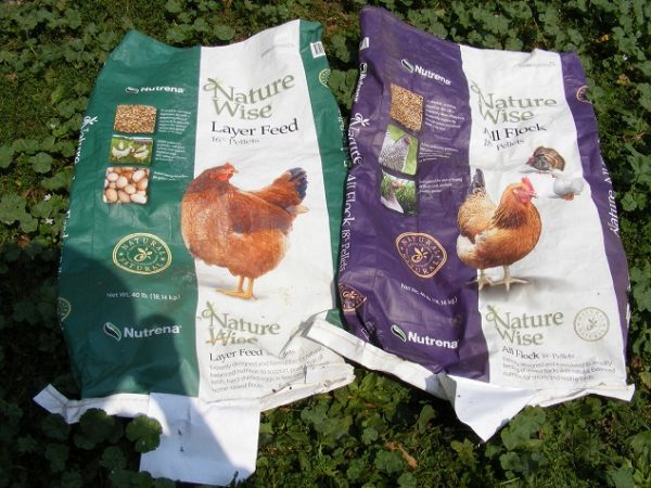 all about chicken feed: how much, what to avoid & best... How to Feed Your Chickens - The Happy Chicken Coop