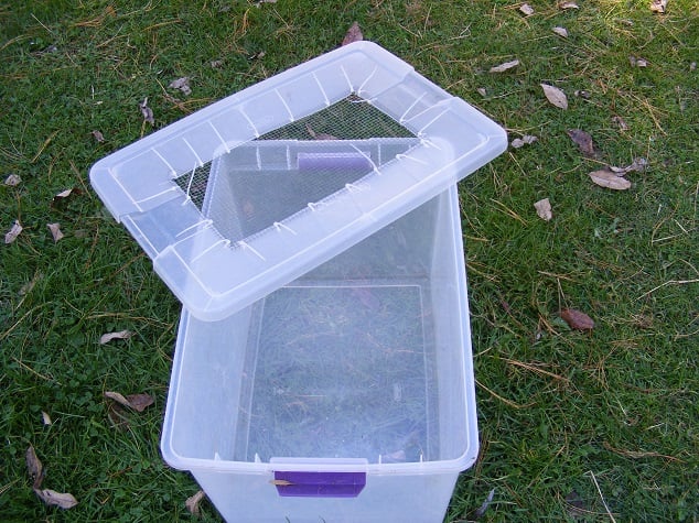 Plastic Tote Chicken Brooder