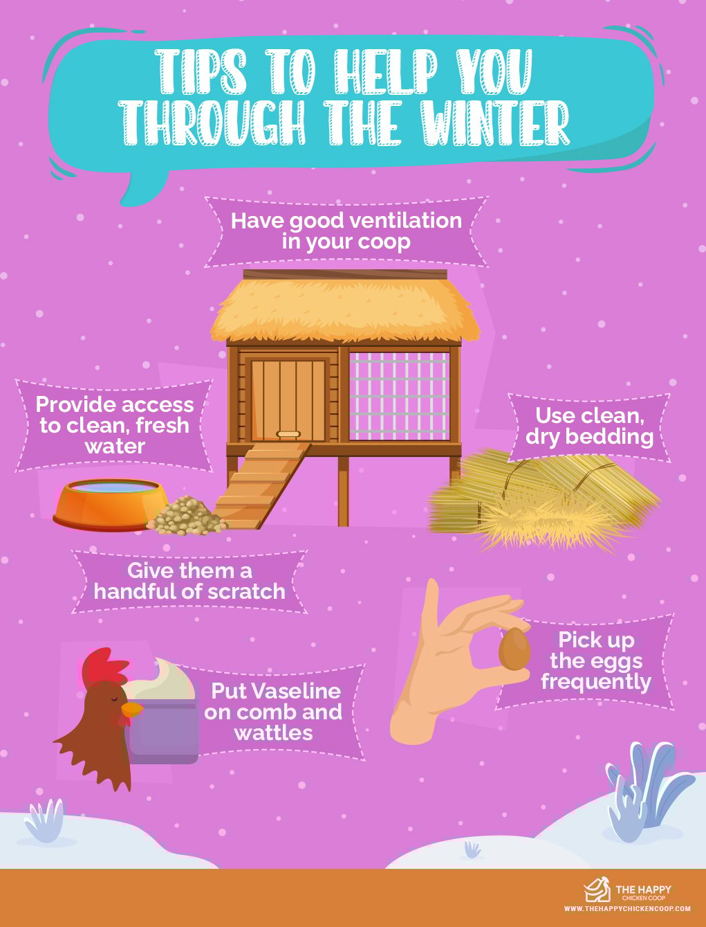 chickens in cold 