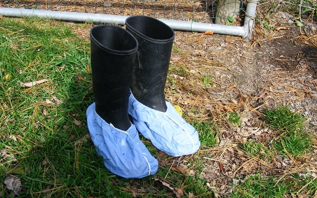 Biosecurity in poultry Disposable Footwear