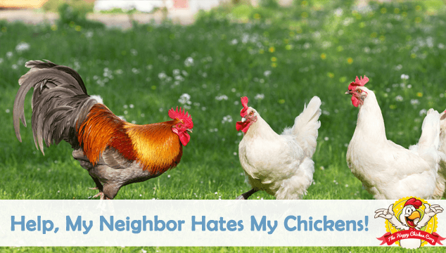 how to keep dog from killing neighbors chickens