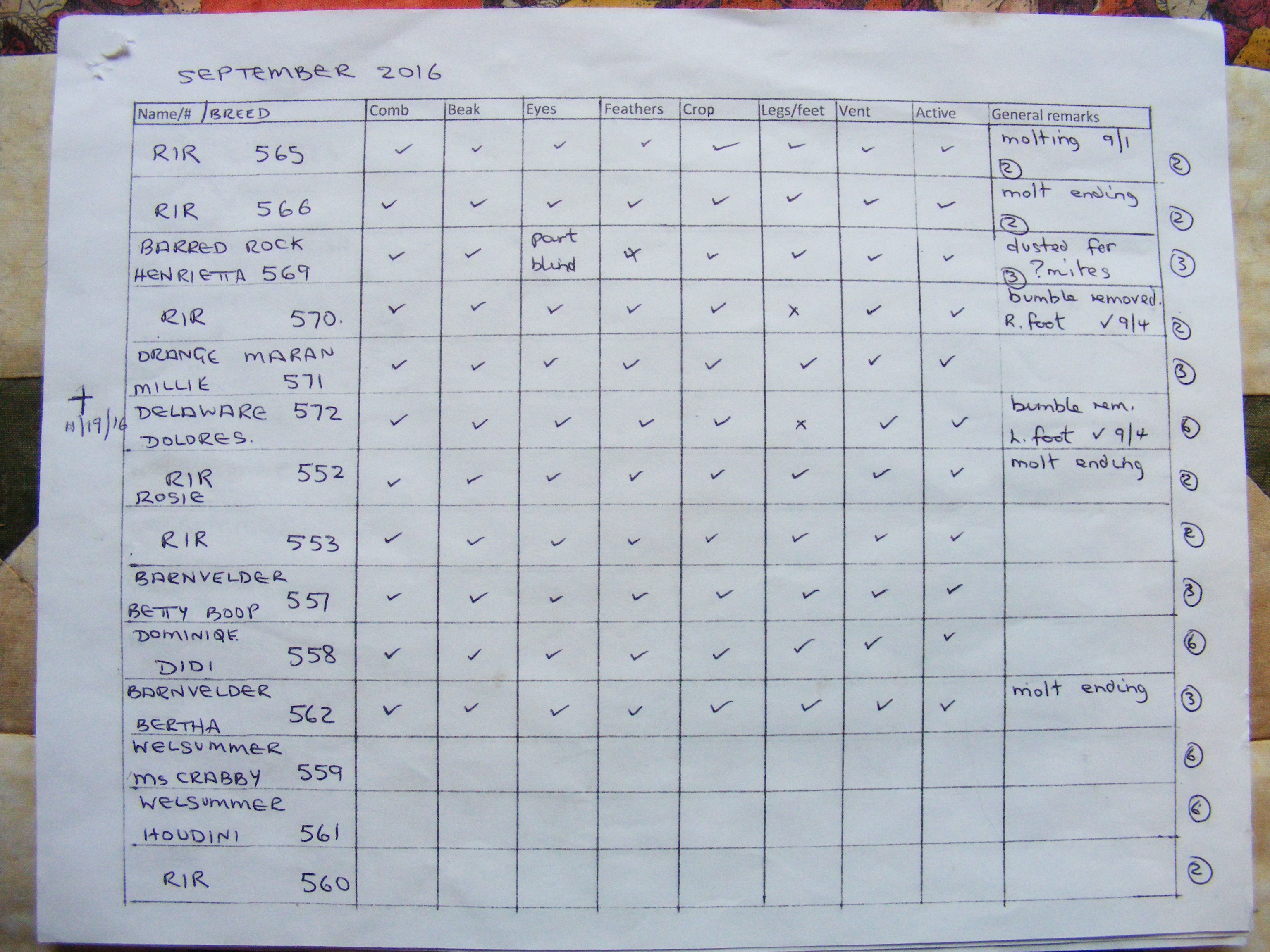 Broiler Chicken Medicine Chart