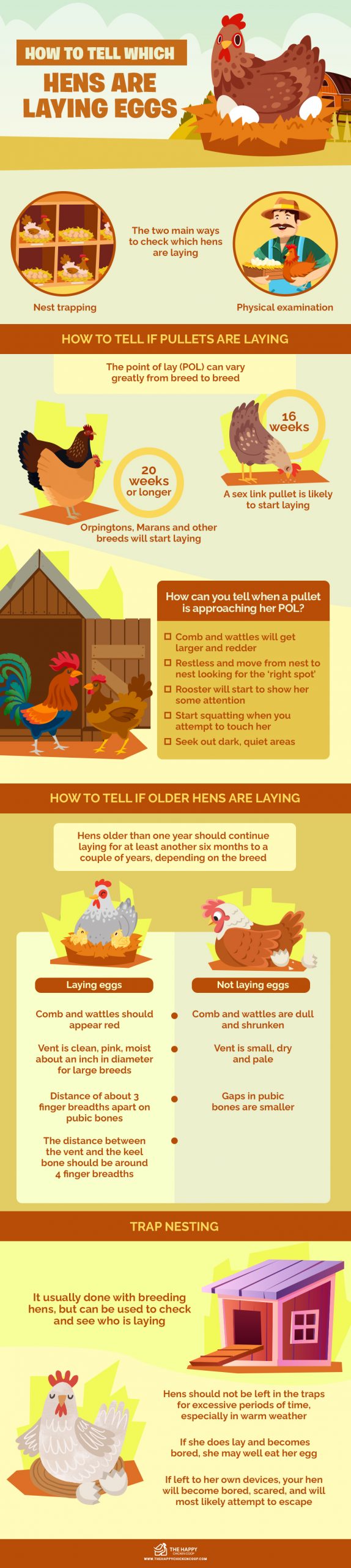 How To Tell Which Hens Are Laying Eggs