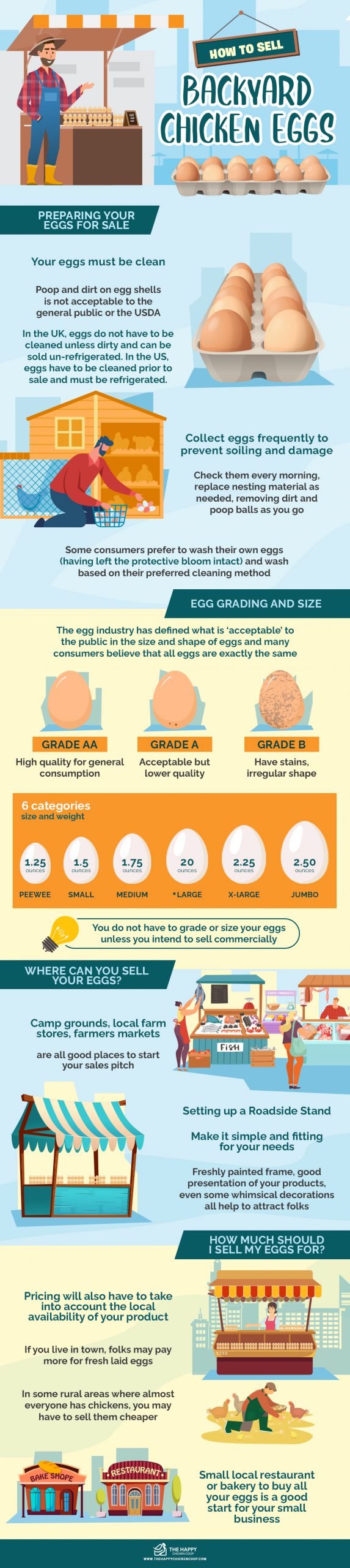 Sell Backyard Chicken Eggs