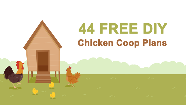 44 Beautiful DIY Chicken Coop Plans You Can Actually Build Banner