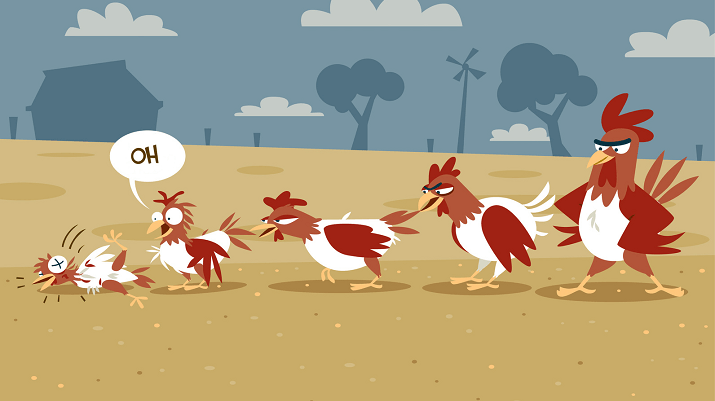 Intimidation des poulets : comment les empêcher de se picorer