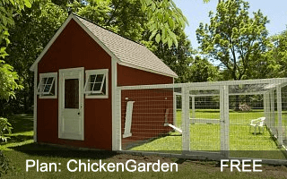 Chicken Garden