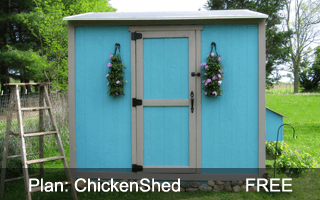 Chicken Shed