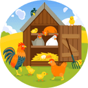 Chicken Coop Plans