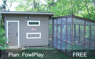 Fowl Play