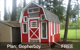 Gopherboy