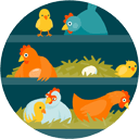 How To Build a Coop