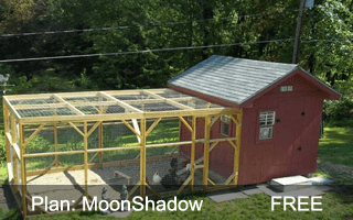 Moon Shadow