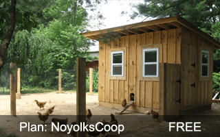 Noyolks Coop