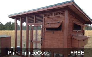 Palace Coop
