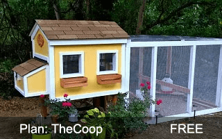 The Coop