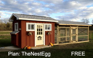 The Nest Egg