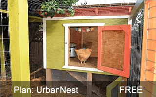 Urban Nest