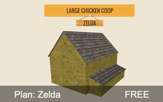 Zelda