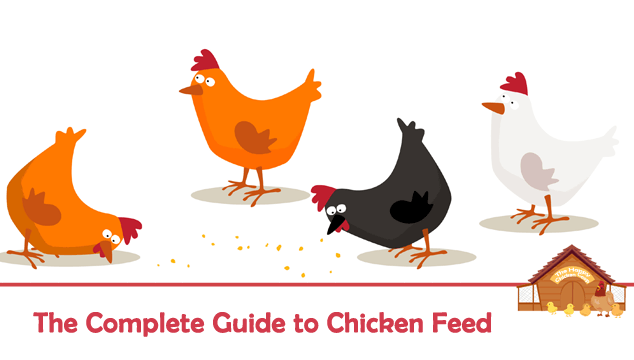 Broiler Chicken Feed Chart