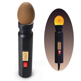 Egg Candler Tester