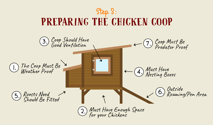 What Makes the Perfect Coop