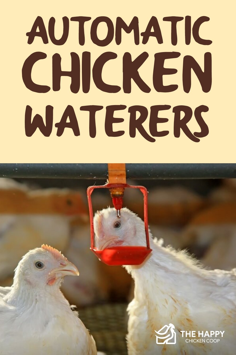 Automatic Chicken Waterers