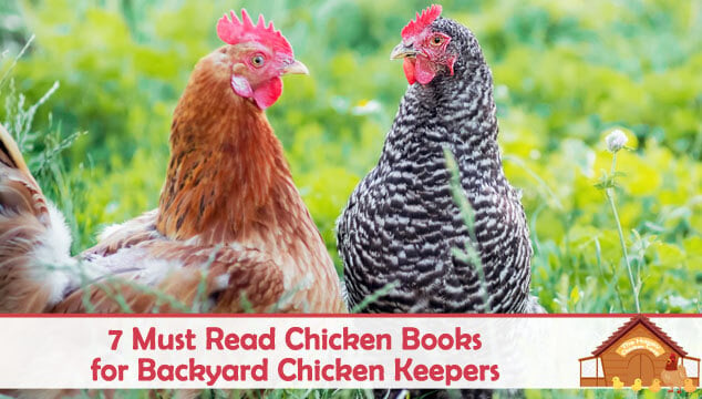 7 Must Read Chicken Books for Backyard Chicken Keepers Blog Cover