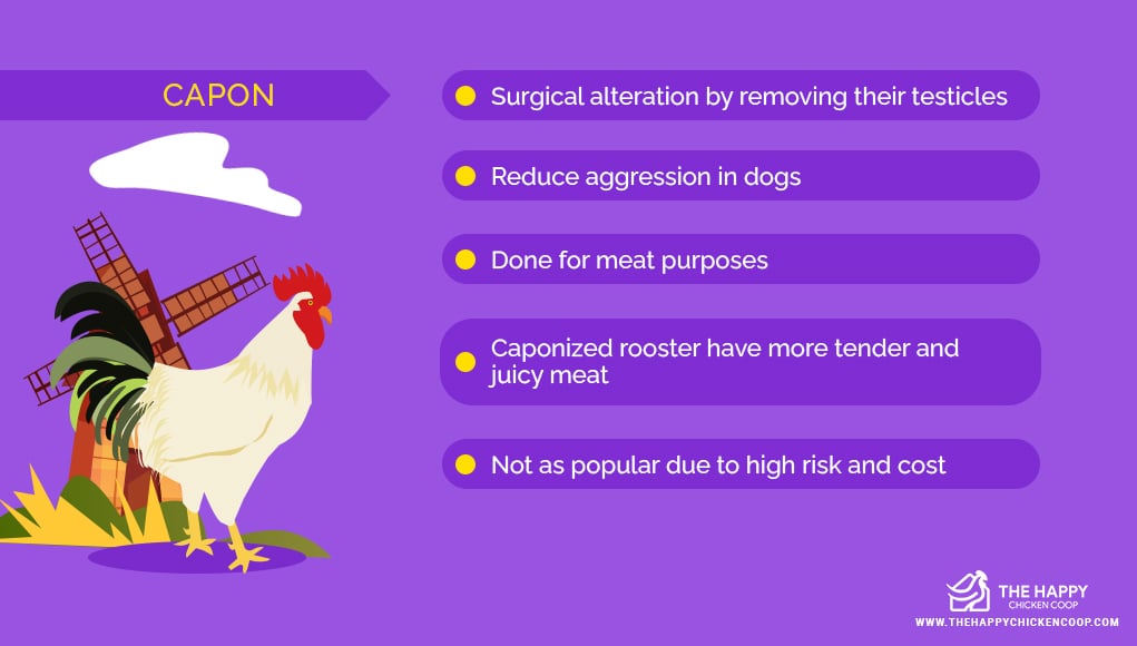 capon