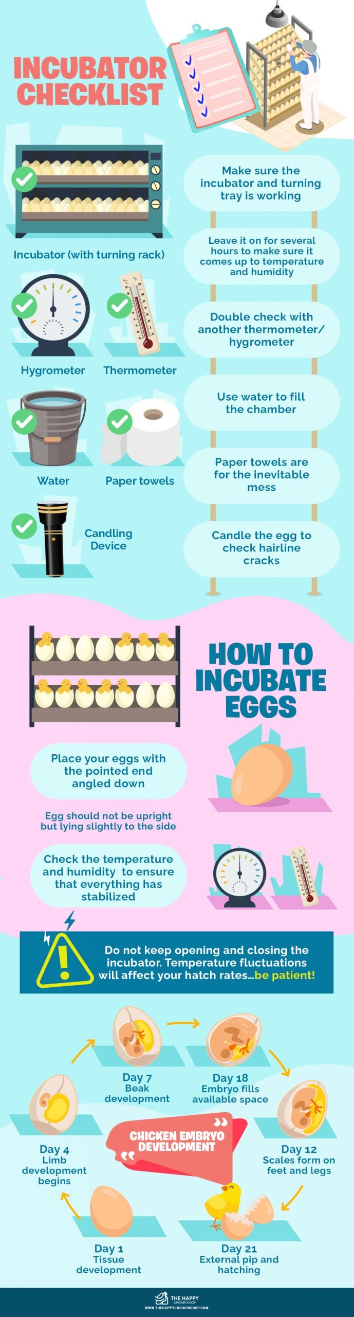 Guide To Hatching Eggs 