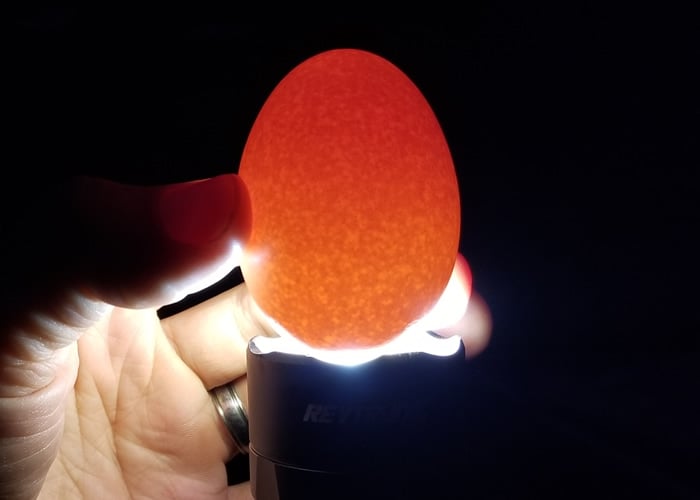 egg candling brown egg