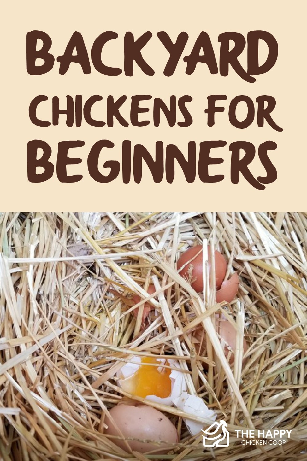 Backyard Chickens for Beginners