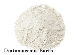 Diatomaceous Earth For Chickens