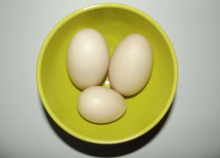 duck egg vs chicken egg