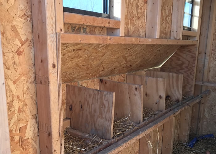 5 nesting boxes in chicken coop