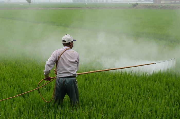 herbicide spraying