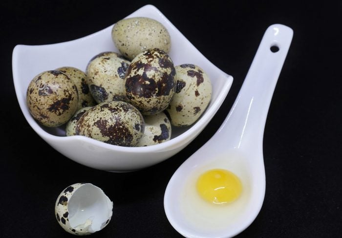 everything you need to know about quail eggs