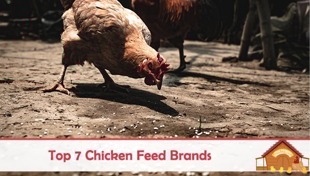 Dumor Chicken Feed Chart