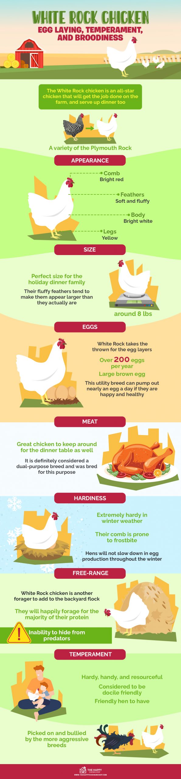 White Rock Chicken 