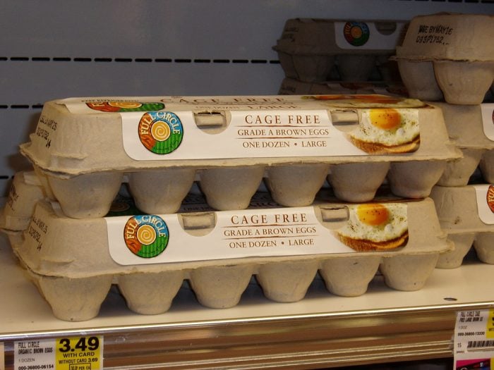 cage free eggs vs free range eggs