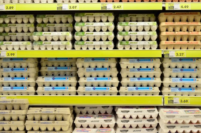 cage free vs free range eggs