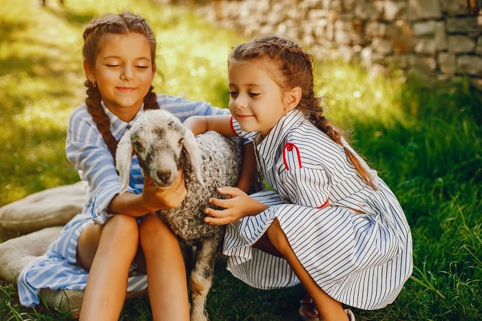 can pygmy goats live with dogs