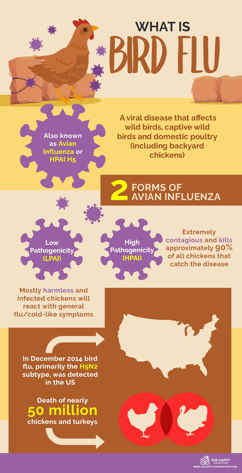 Avian Influenza In Poultry Treatment 