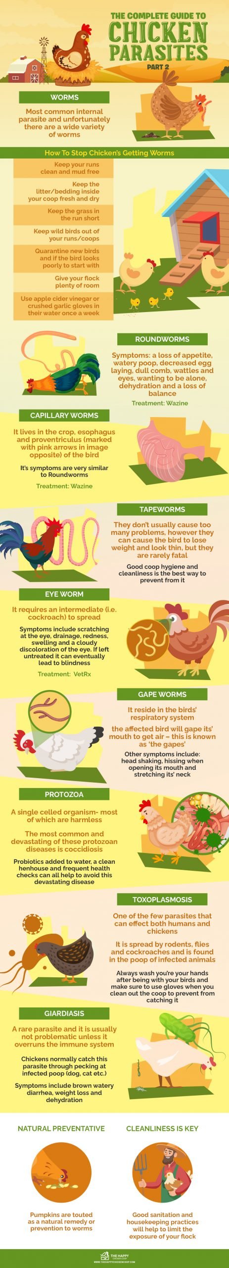 Chicken Parasites