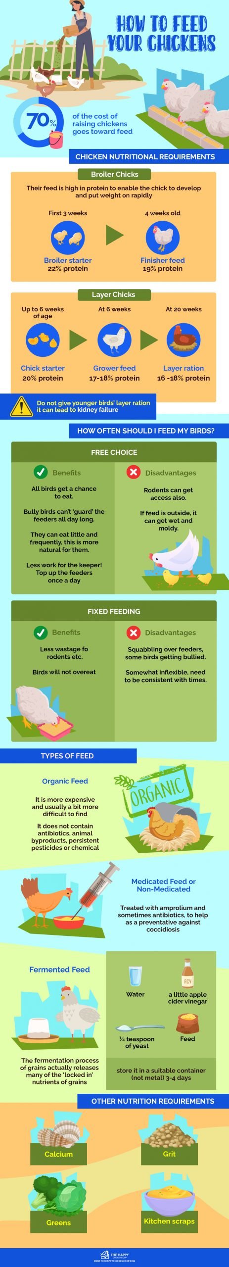 How to Feed Your Chickens 