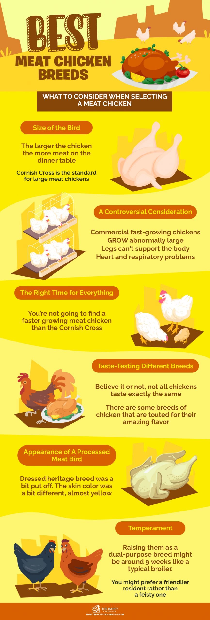 Best Meat Chicken Breeds 