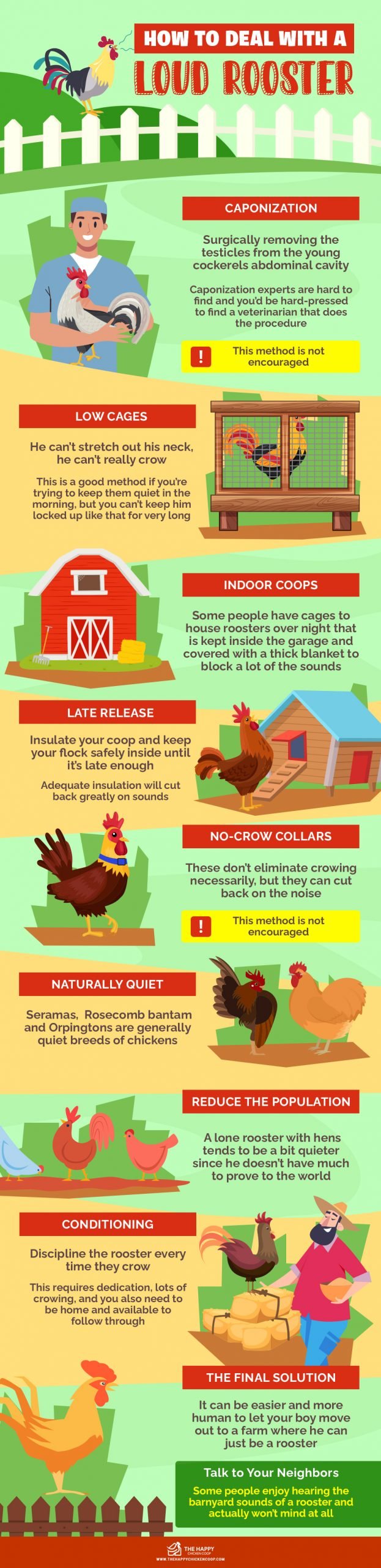 How To Deal With A Loud Rooster 