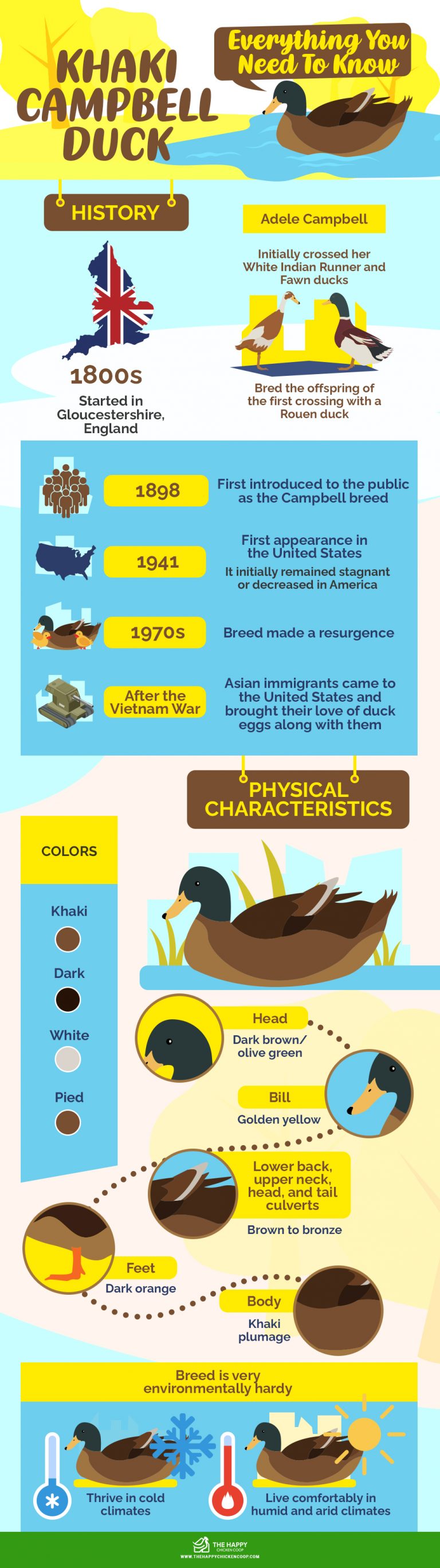 Khaki Campbell Duck Everything You Need To Know Khaki Campbell Duck Everything You Need To Know